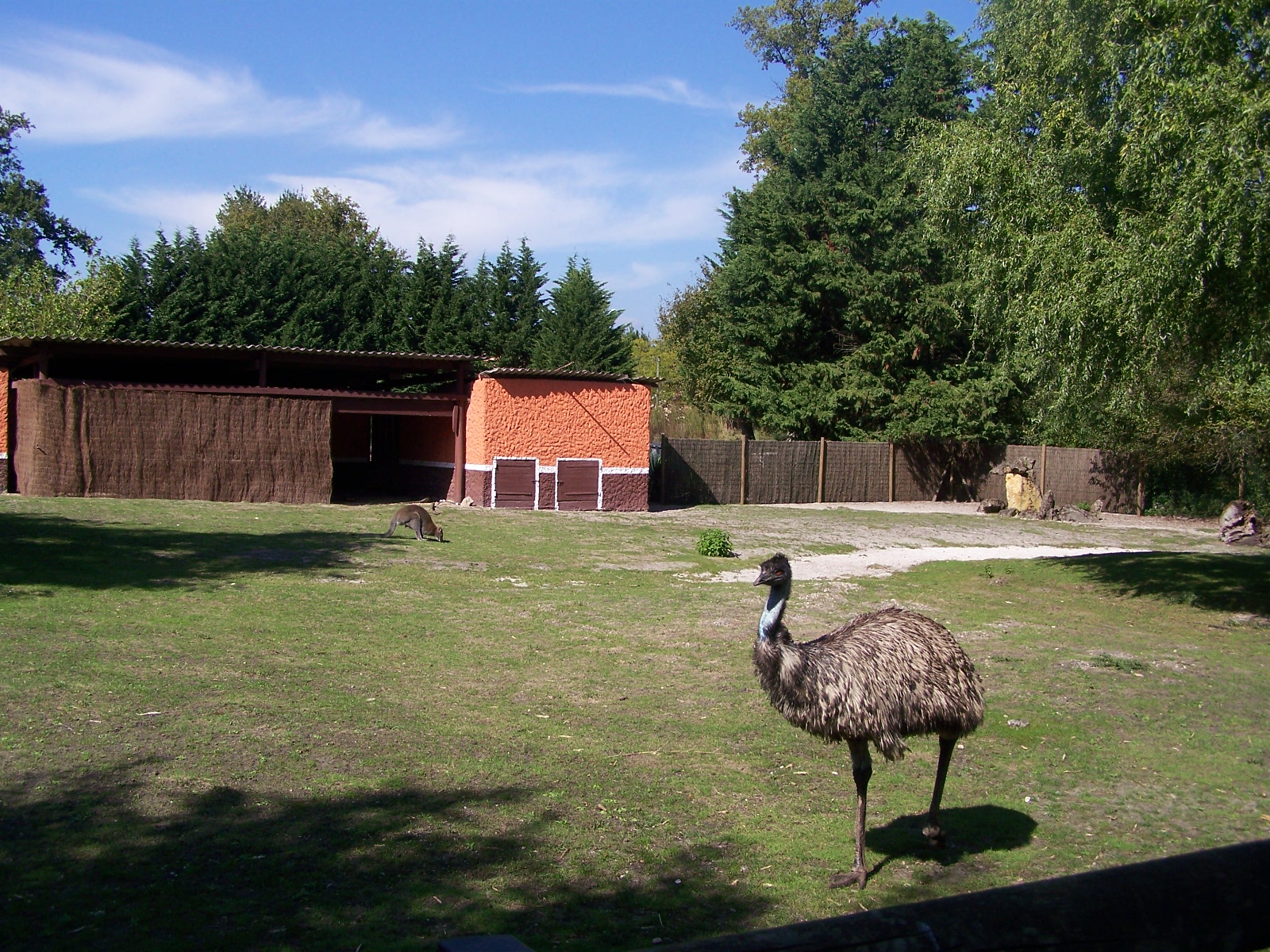 Australian enclosure