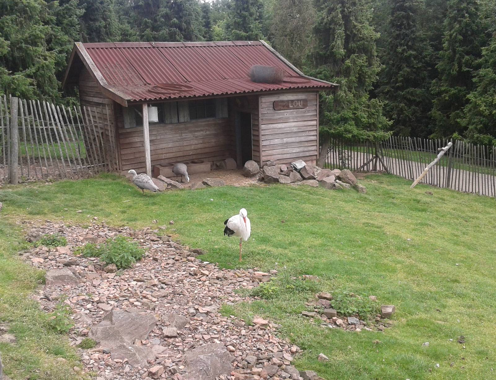 Australian enclosure