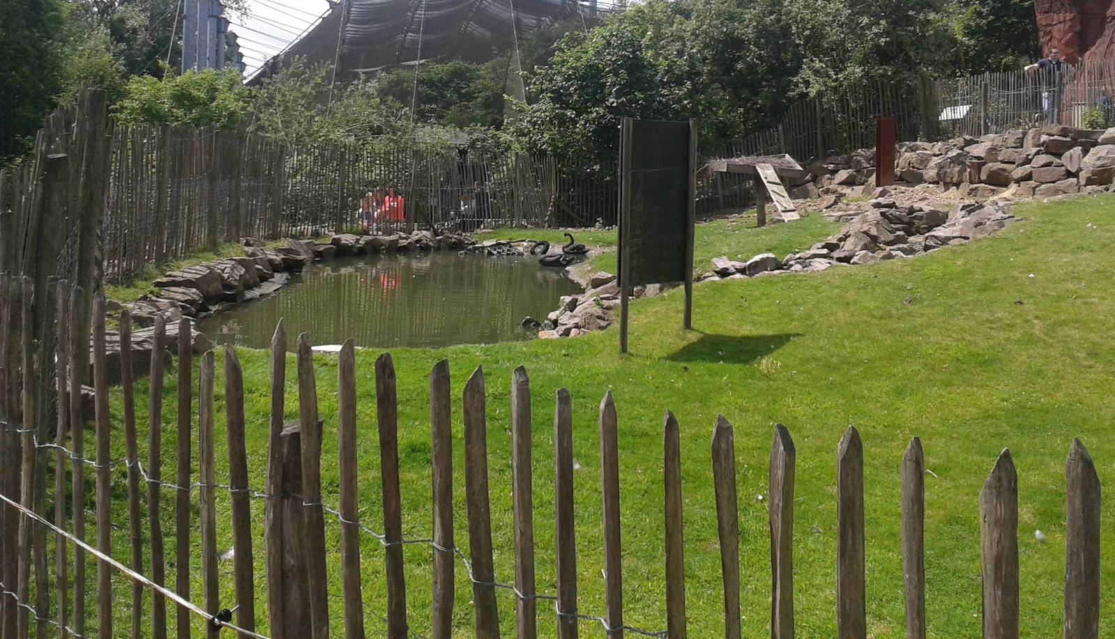 Australian enclosure