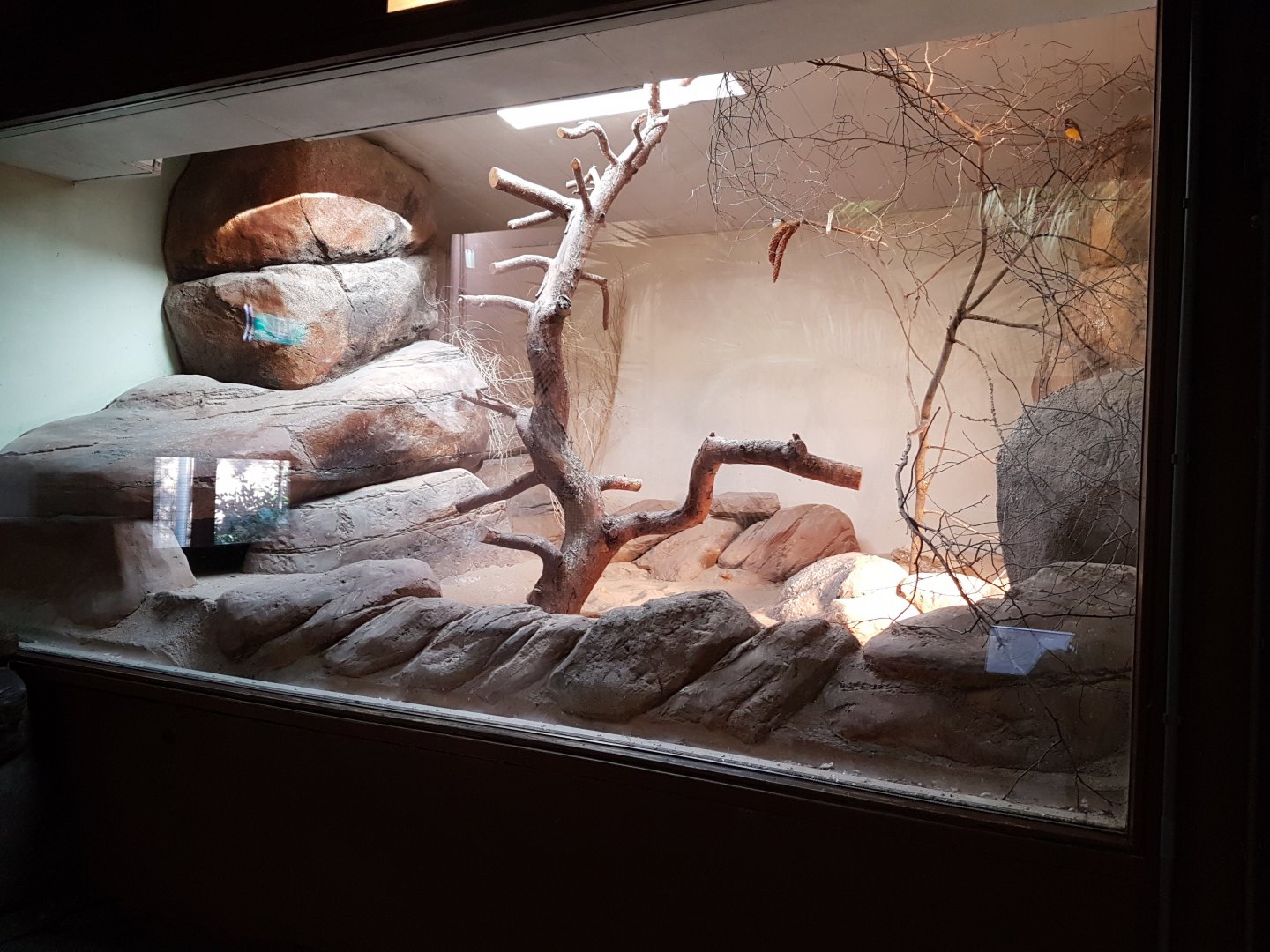 Australian enclosure