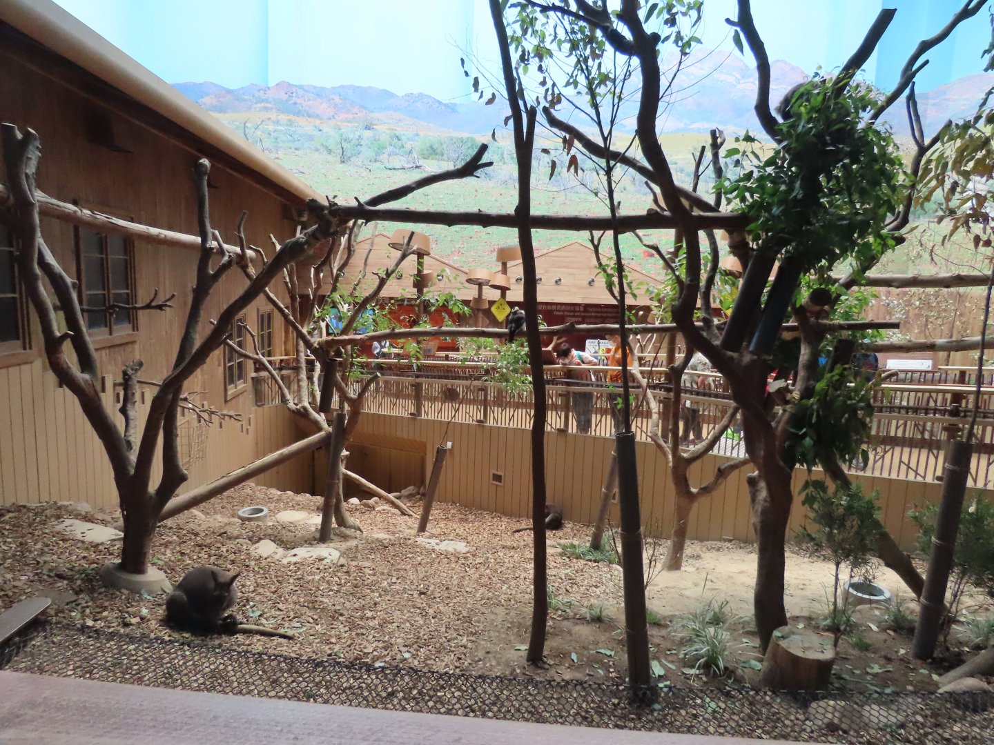 Australian exhibit 1