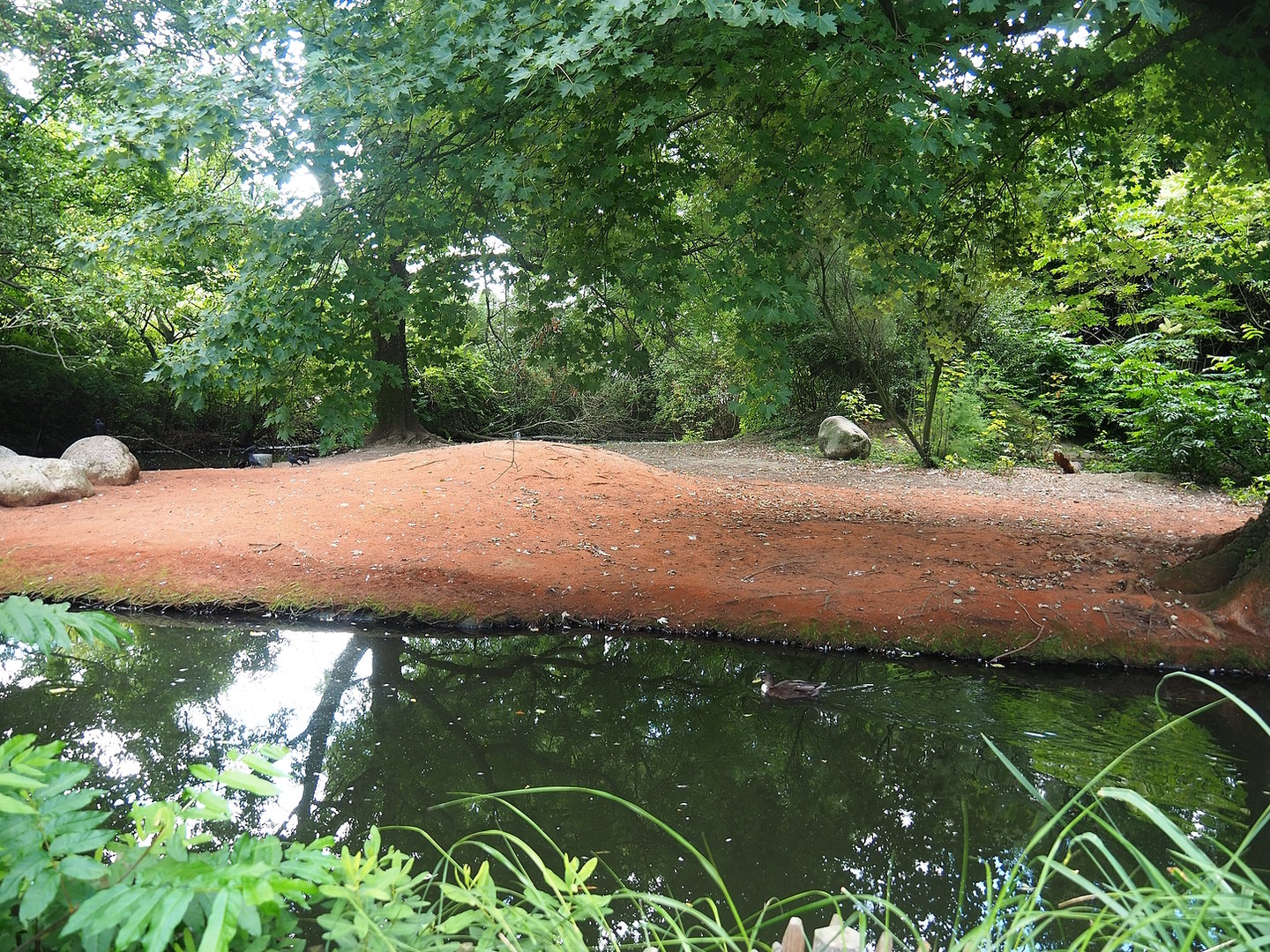 Australian exhibit, 2022-08-28