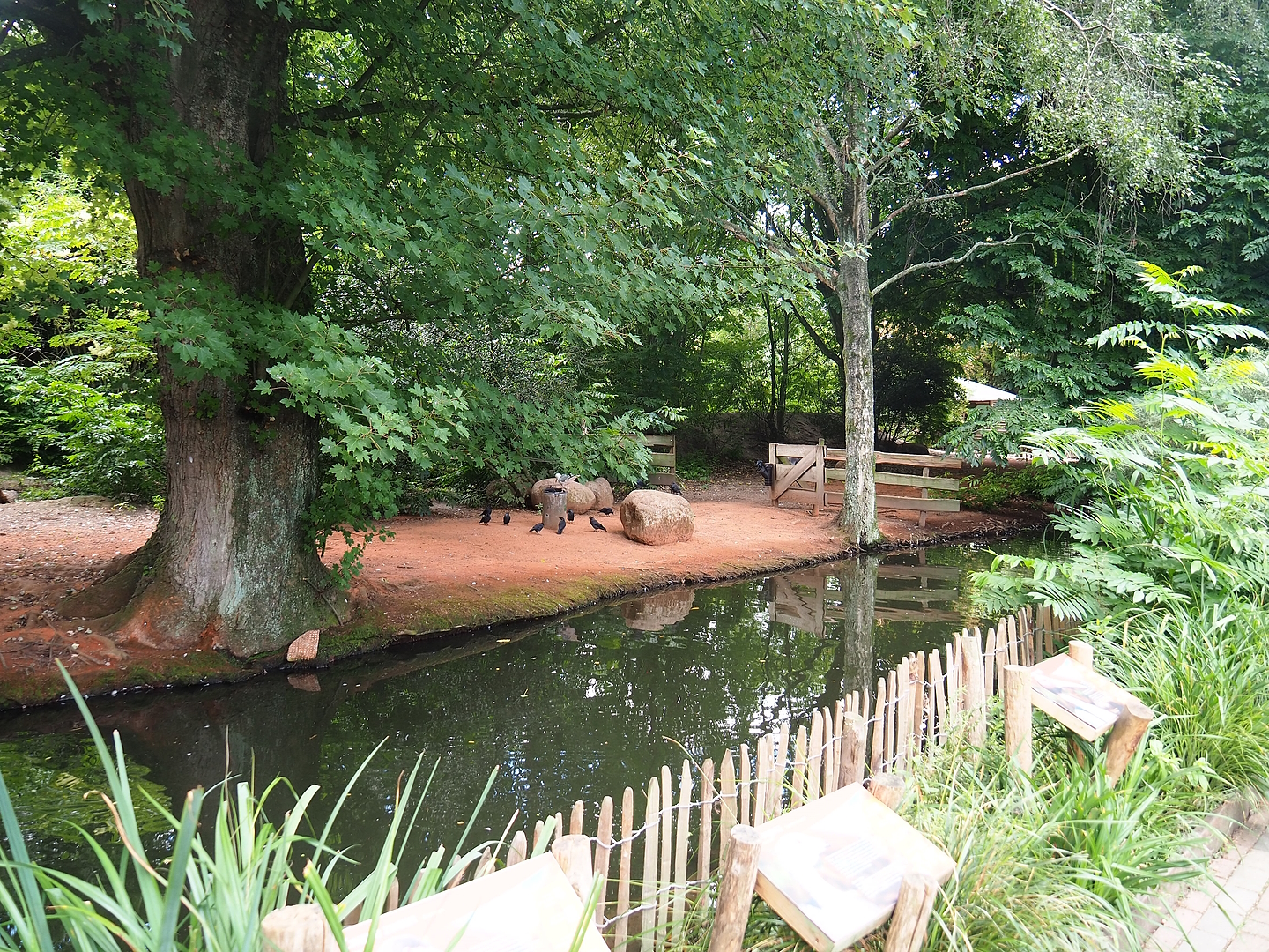 Australian exhibit, 2022-08-28