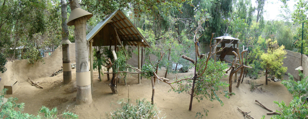 Australian exhibit at the Los Angeles Zoo