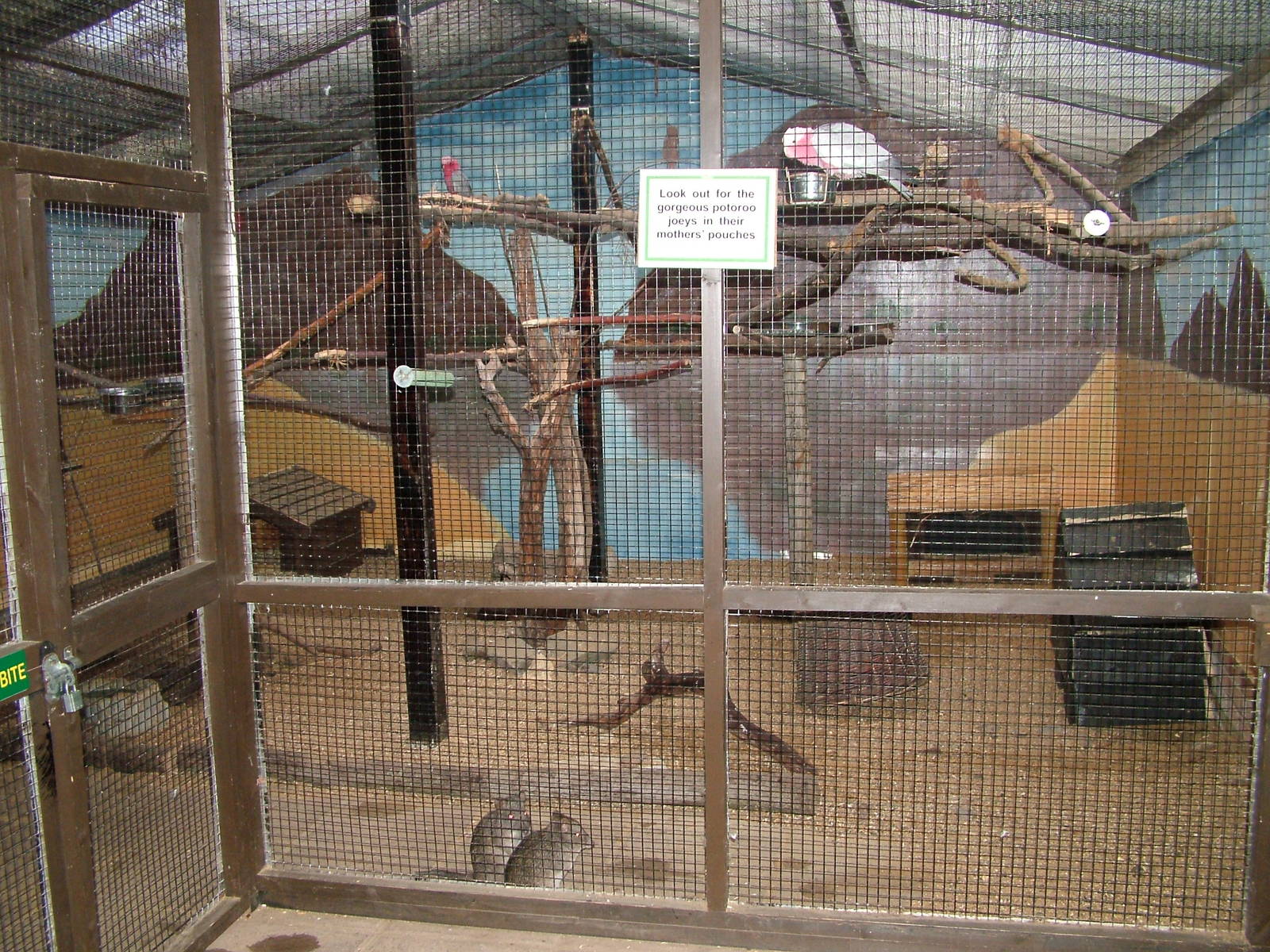 Australian exhibit at Tropical Wings 29/11/09