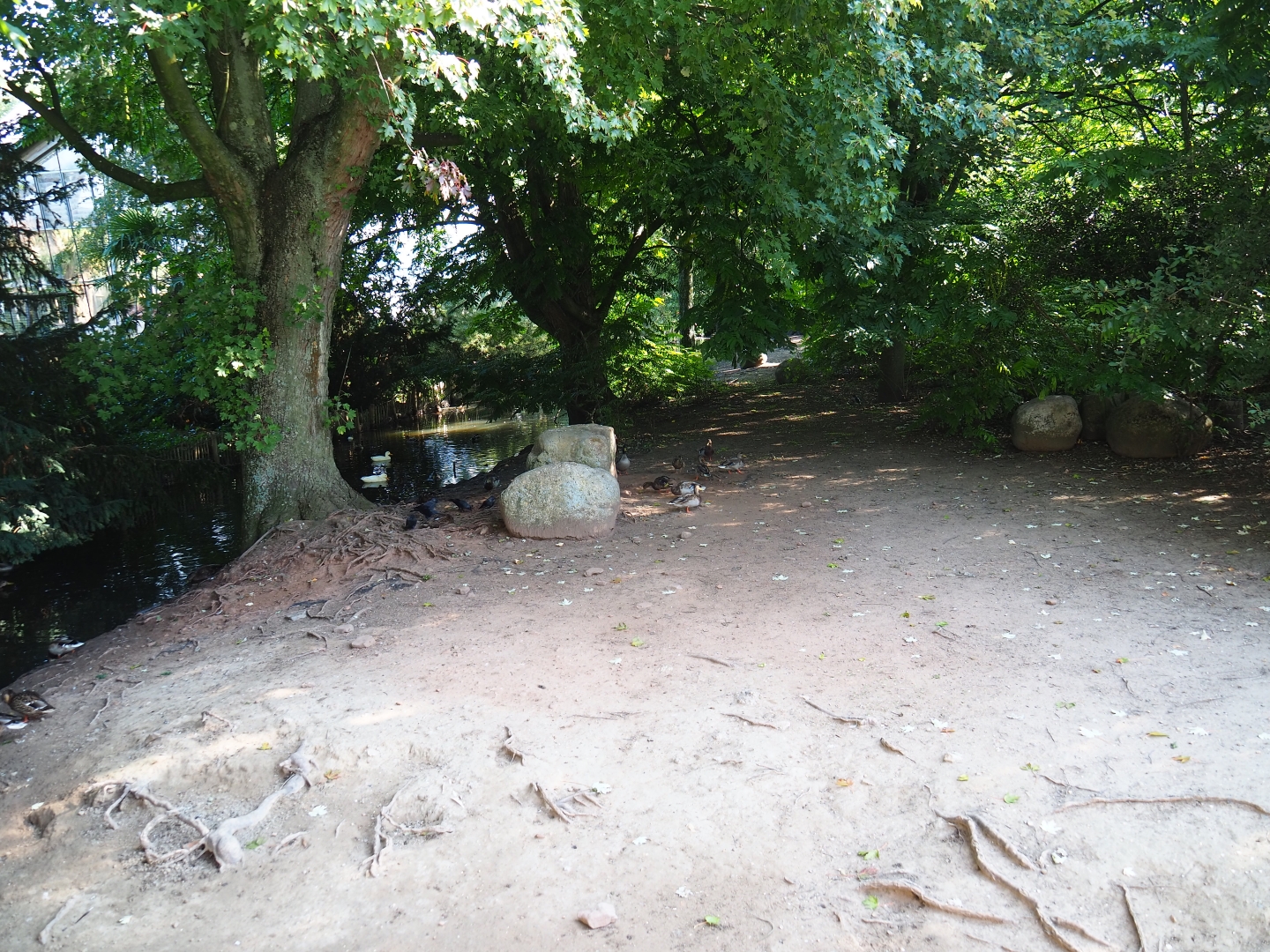 Australian exhibit (Sep 2nd, 2018)