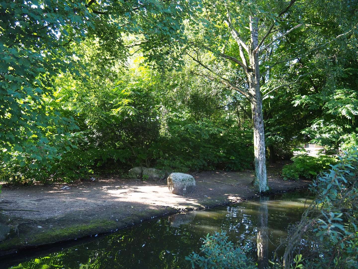 Australian exhibit (Sep 2nd, 2018)