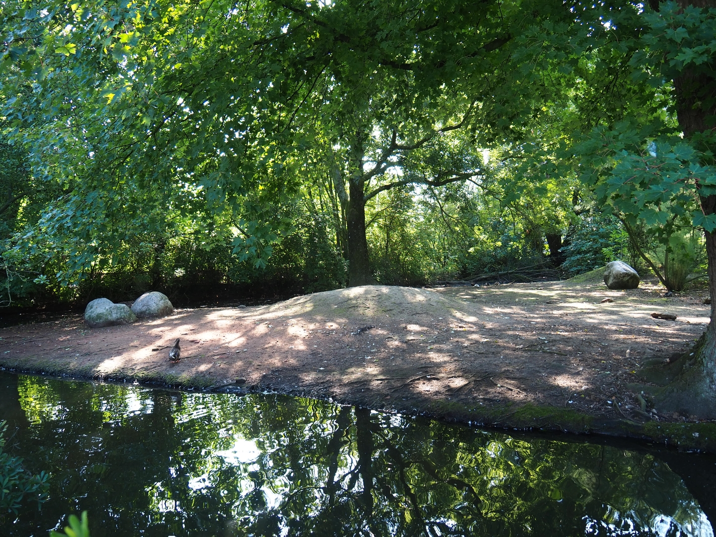 Australian exhibit (Sep 2nd, 2018)