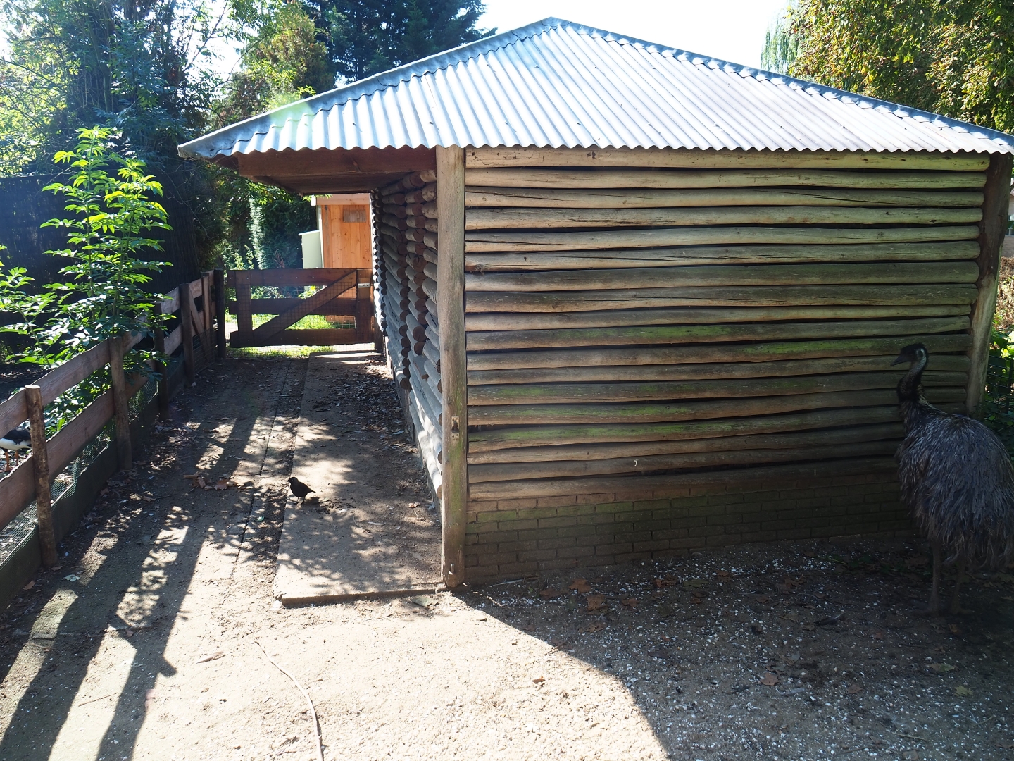 Australian exhibit shack (Sep 2nd, 2018)