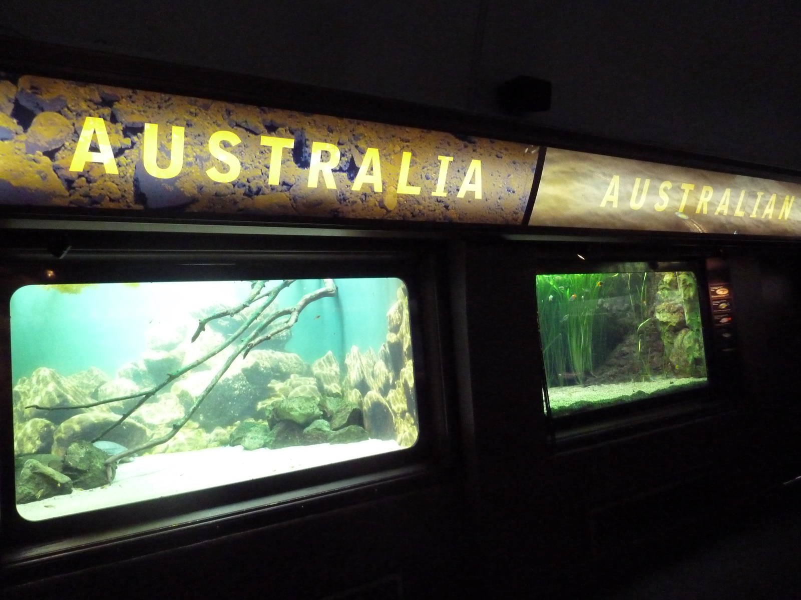 Australian Exhibits
