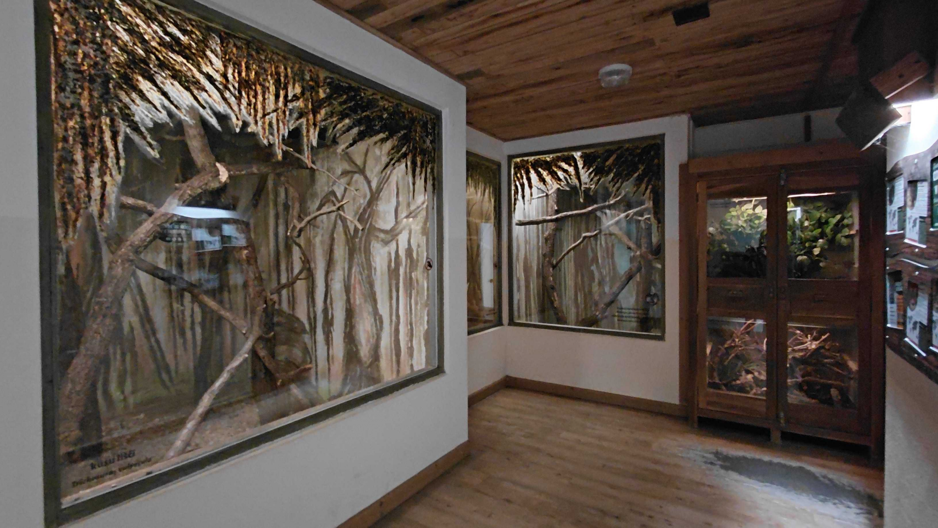 Australian farm - nocturnal section