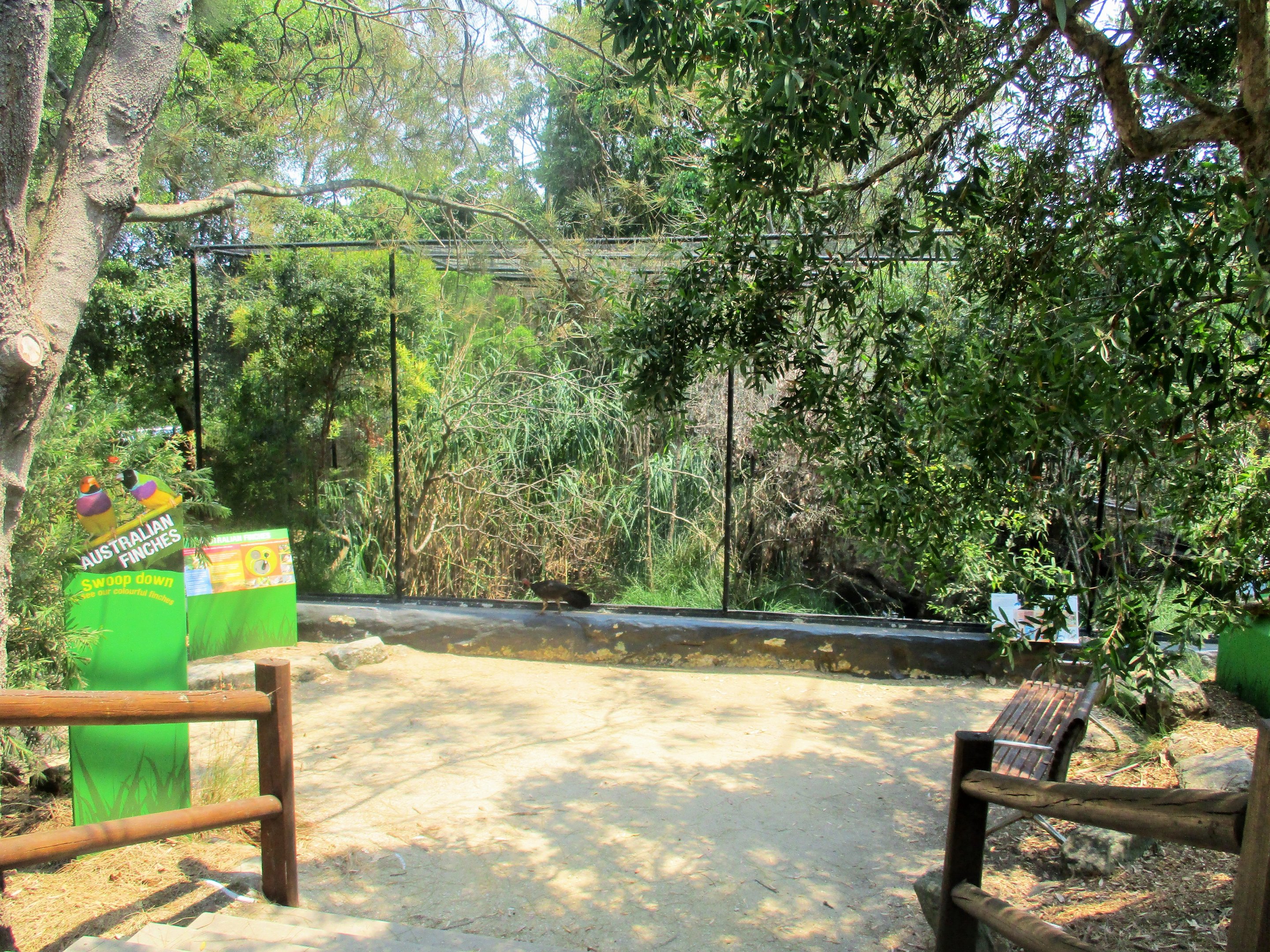 Australian Finch Aviary