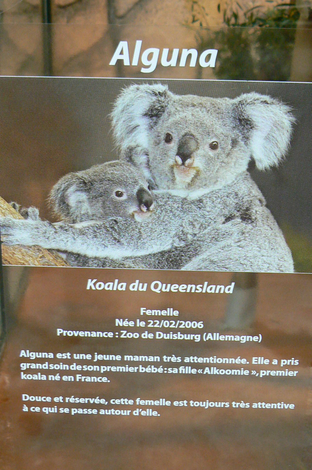 Australian greenhouse - Alguna signage