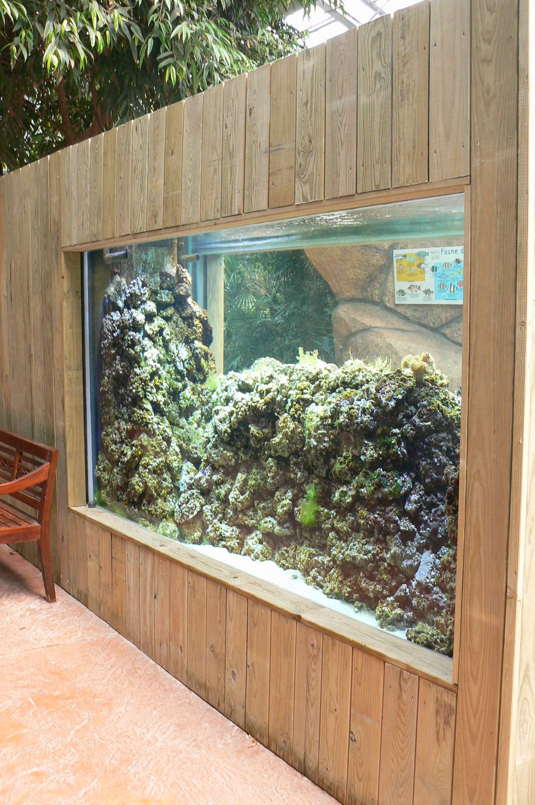 Australian greenhouse -  Coral aquarium
