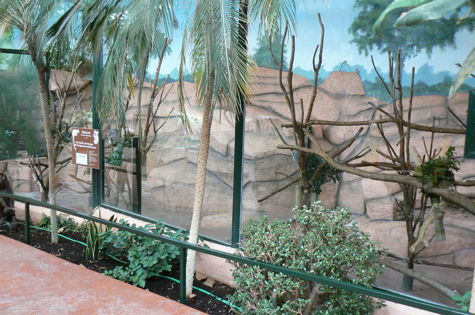 Australian greenhouse -  general views