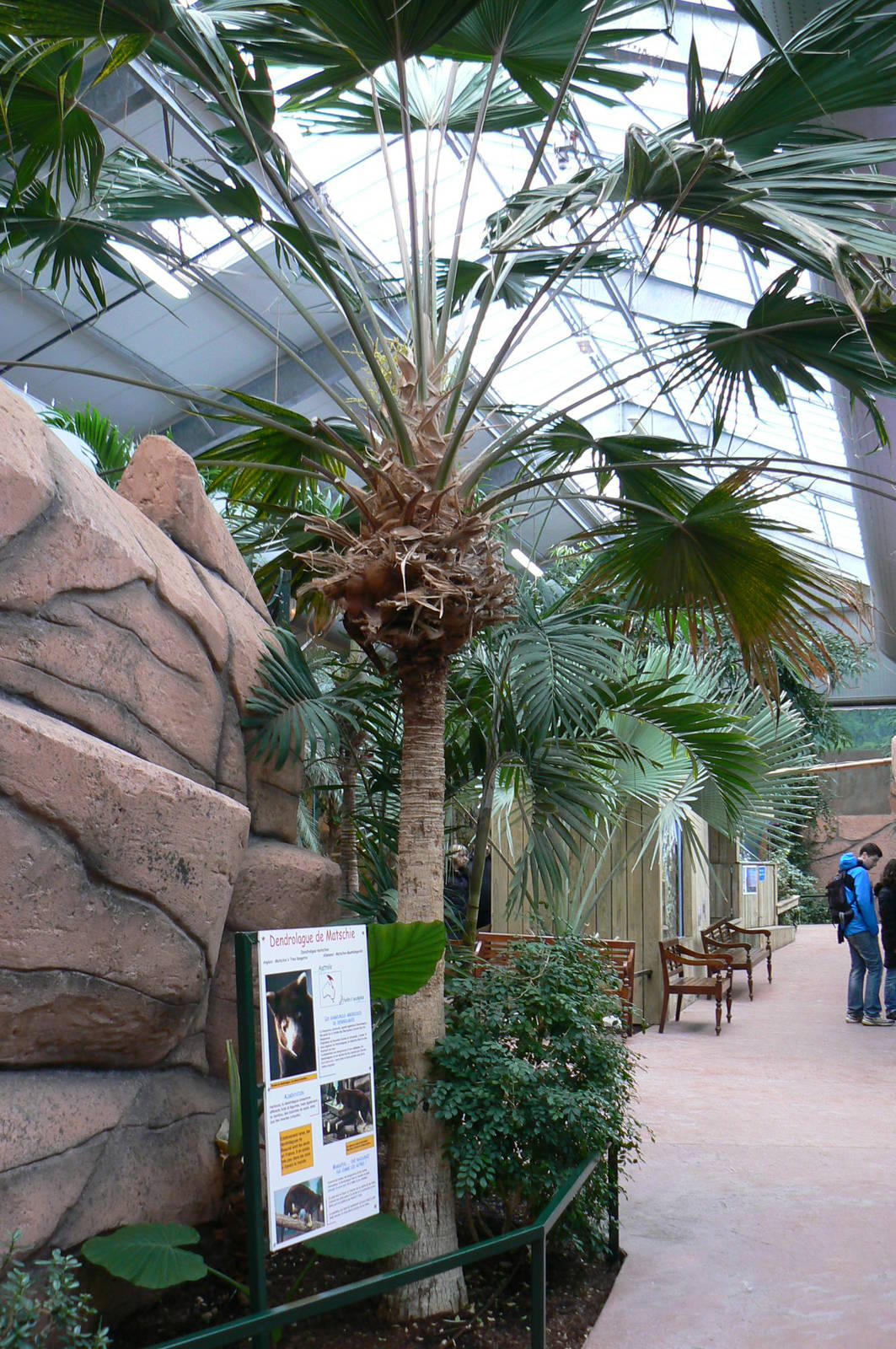 Australian greenhouse -  general views