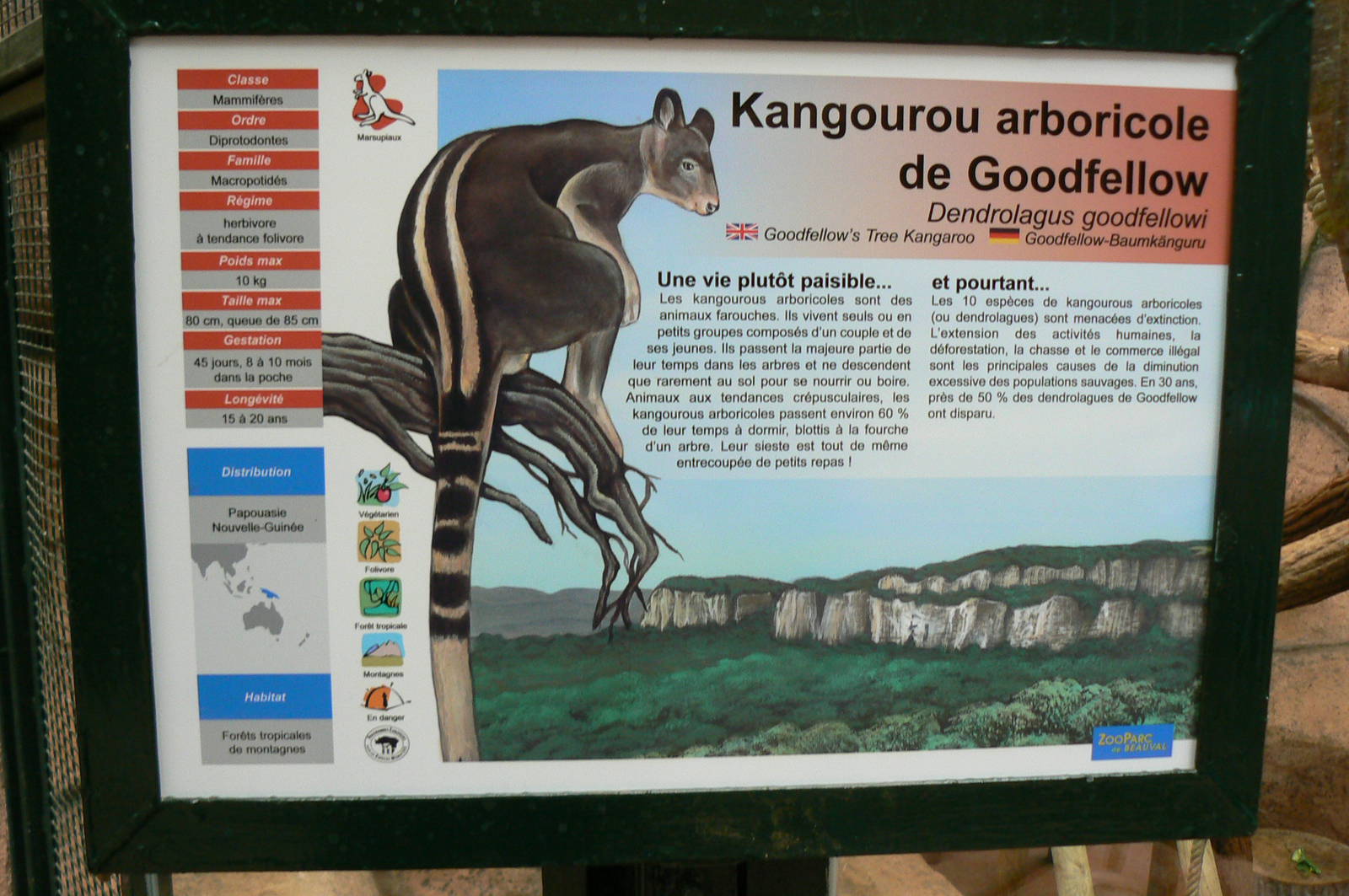 Australian greenhouse - Goodfellow's tree kangaroo signage