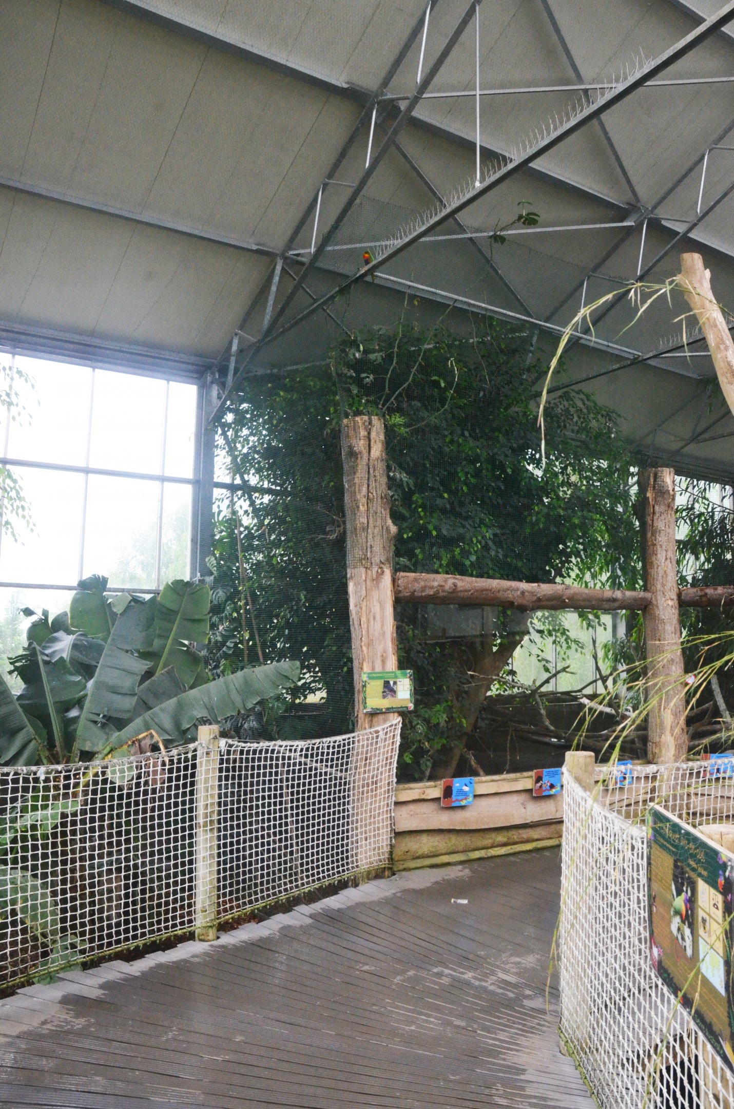 Australian Greenhouse Interior at CERZA, 10/06/18