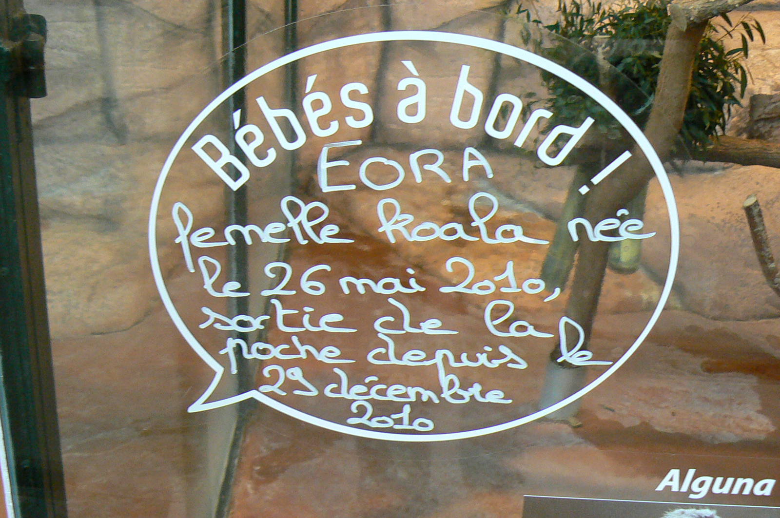 Australian greenhouse - Koala birth signage