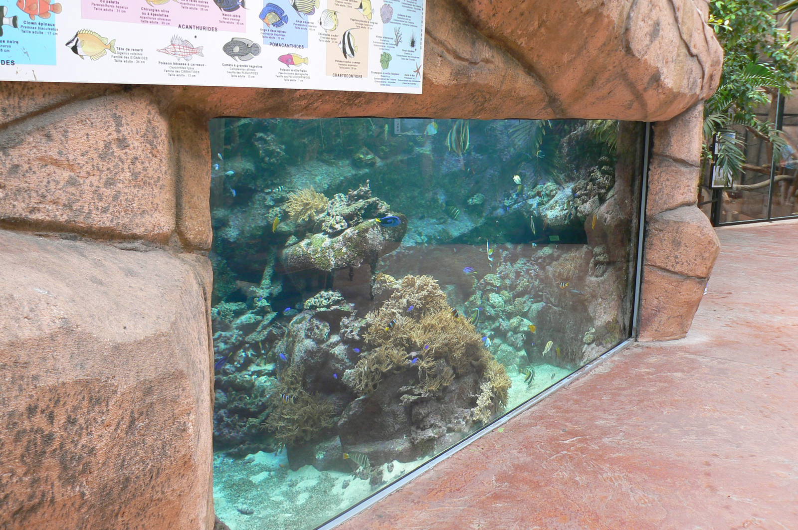 Australian greenhouse -  large marine aquarium