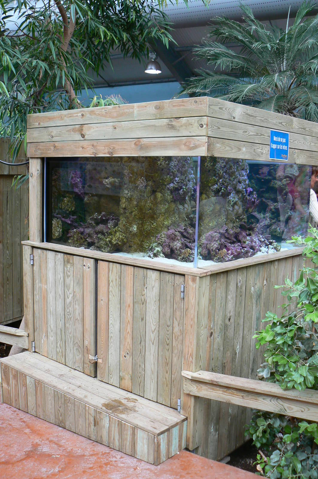 Australian greenhouse -  Long Snout seehorses aquarium
