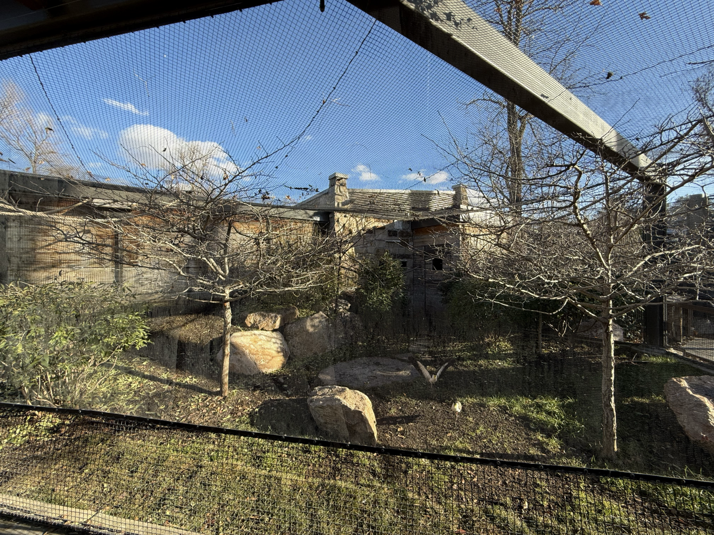 Australian habitat - Expedition Kea