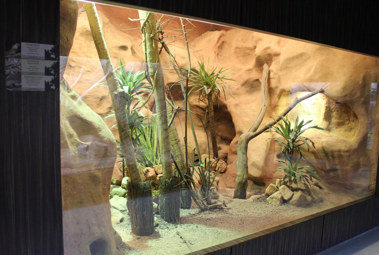 Australian Herp-enclosure