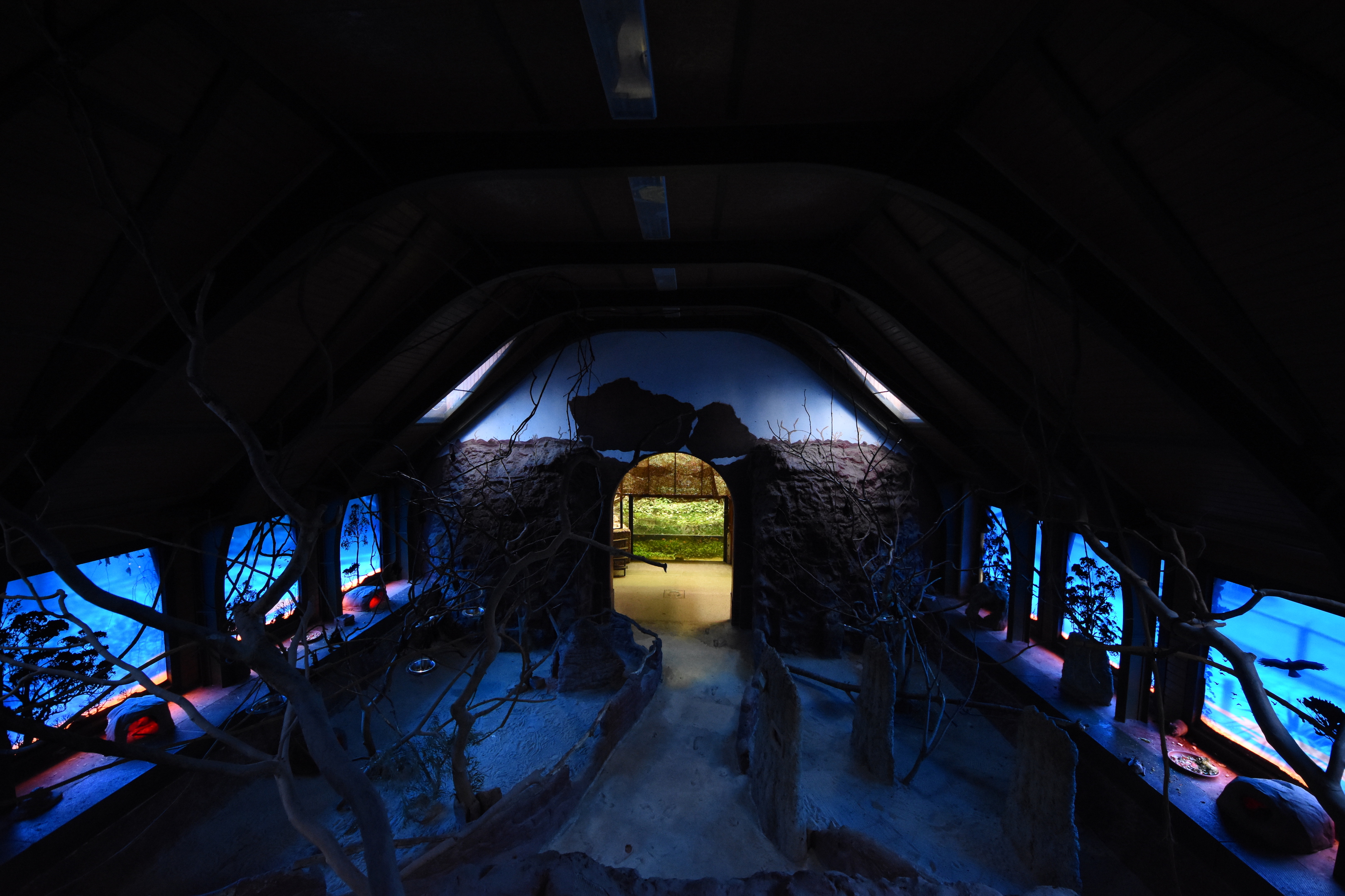 Australian house - Nocturnal part