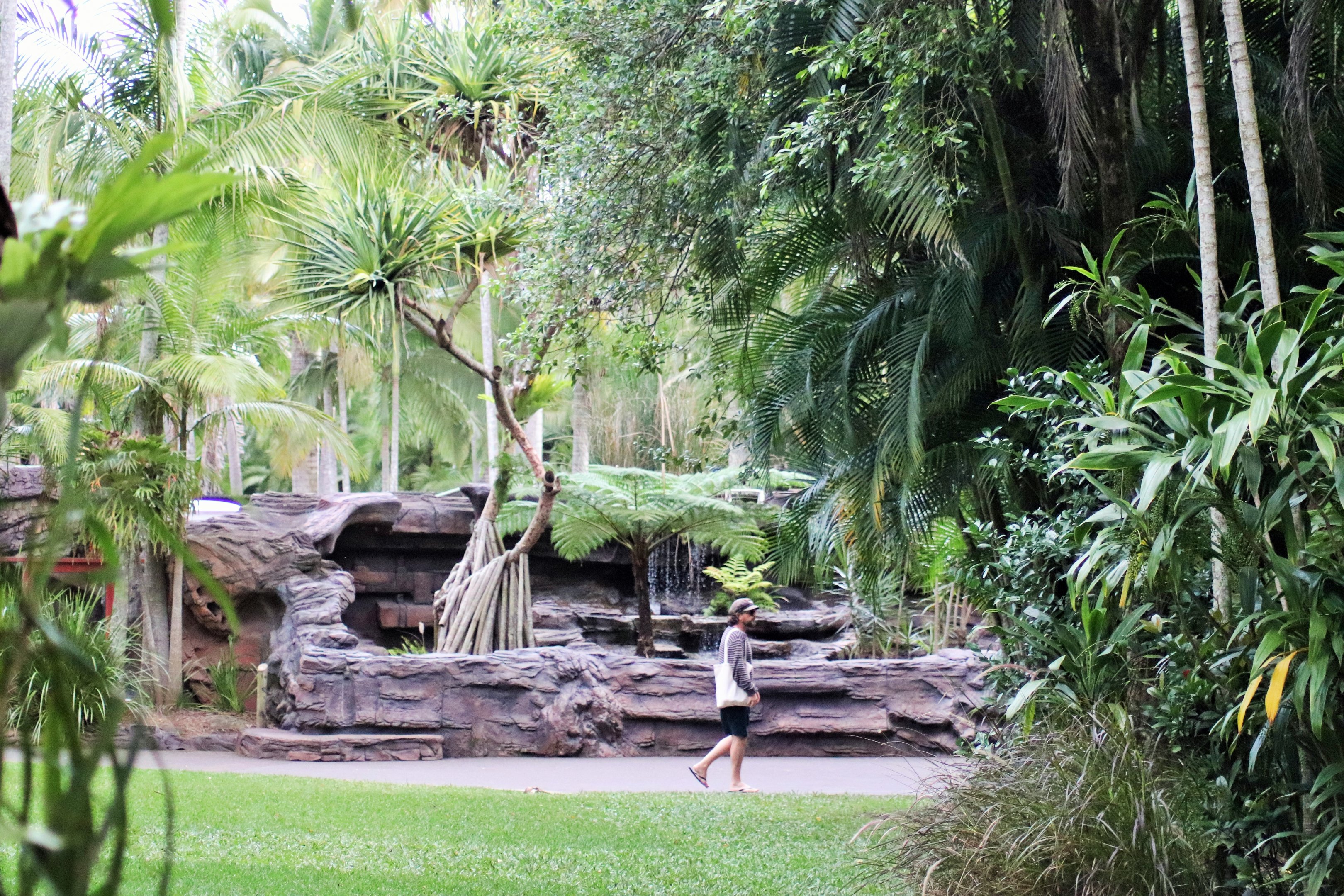 Australian Lizard Enclosure