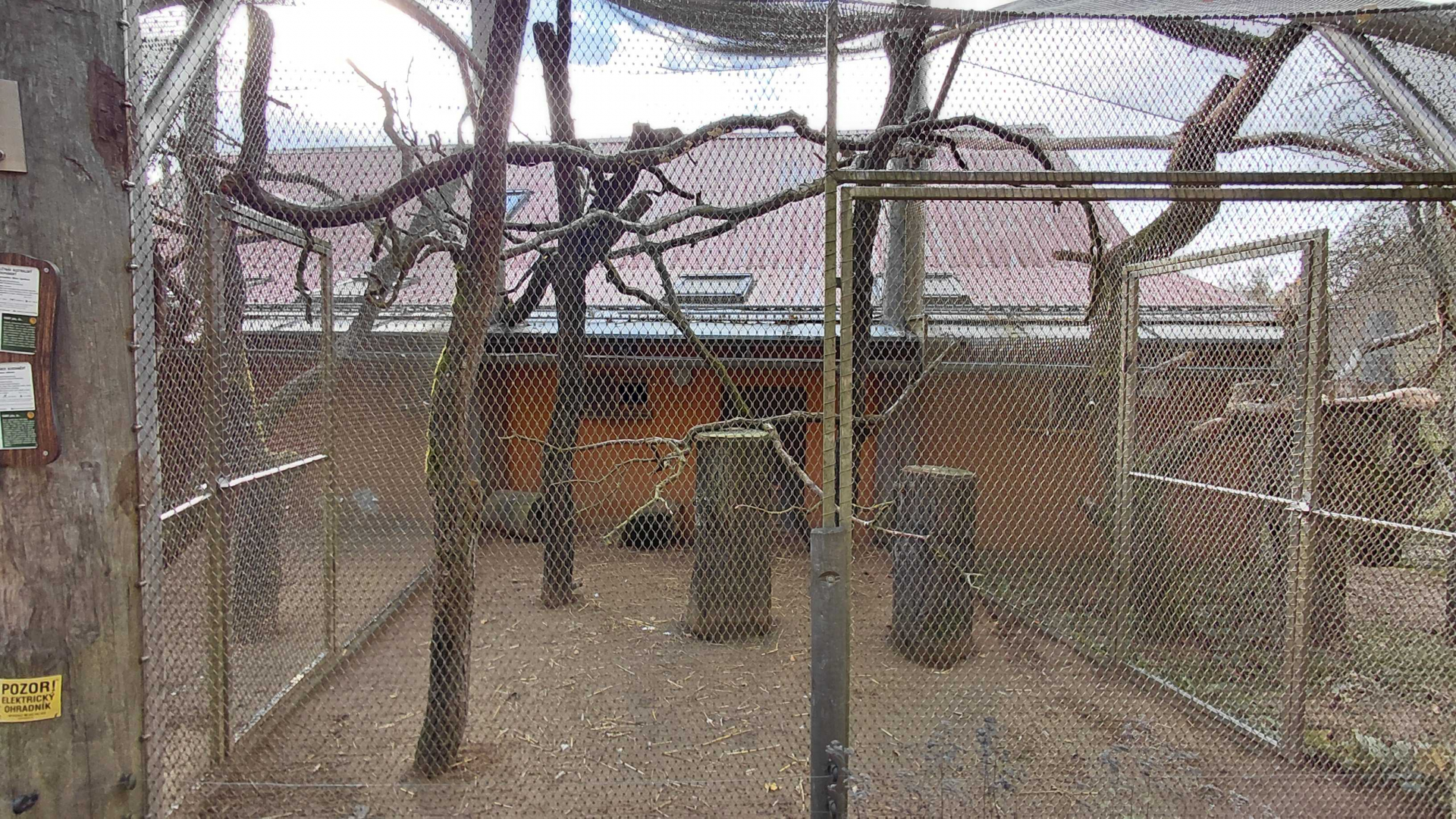 Australian magpie + bettong exhibit