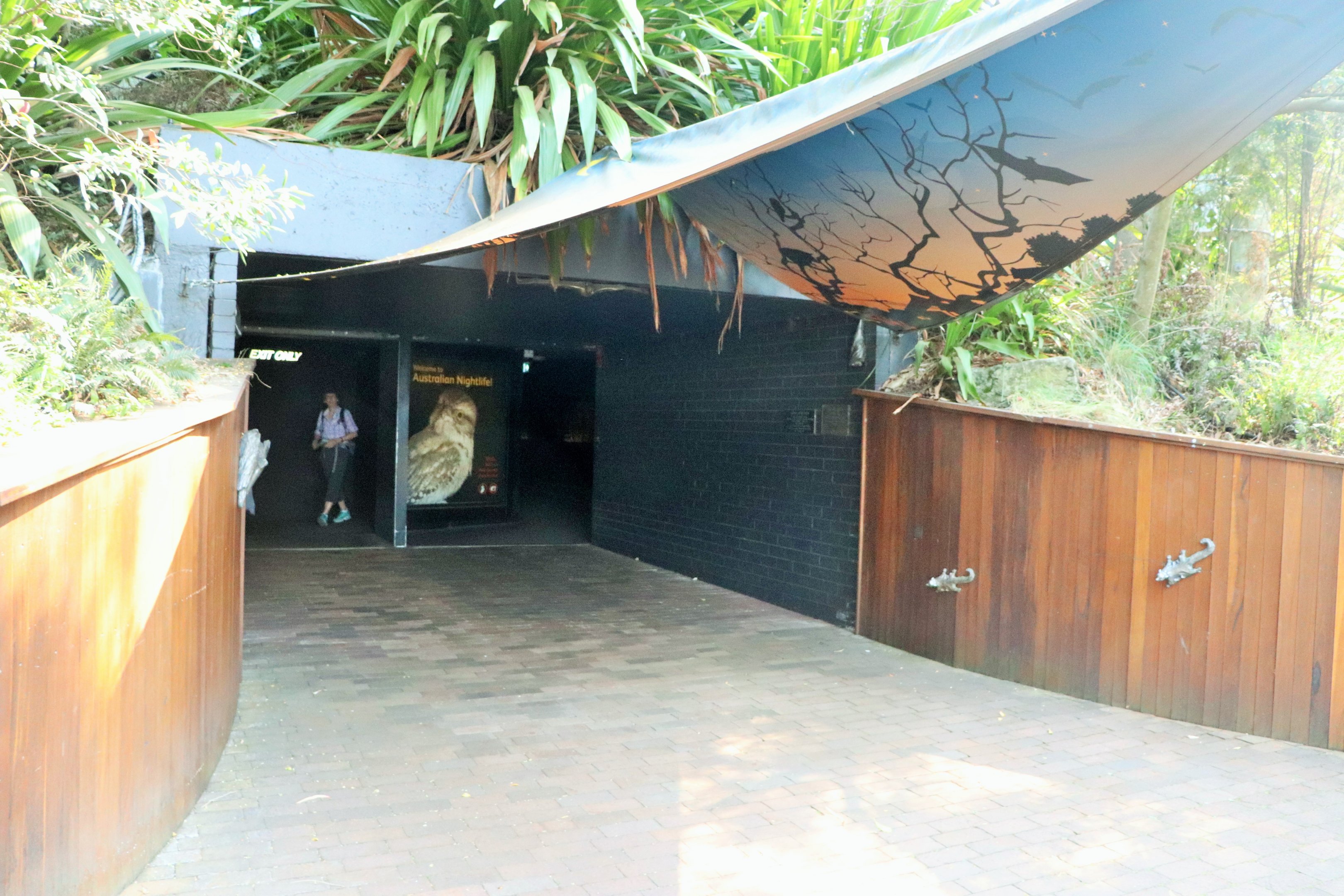 Australian Nightlife Entrance