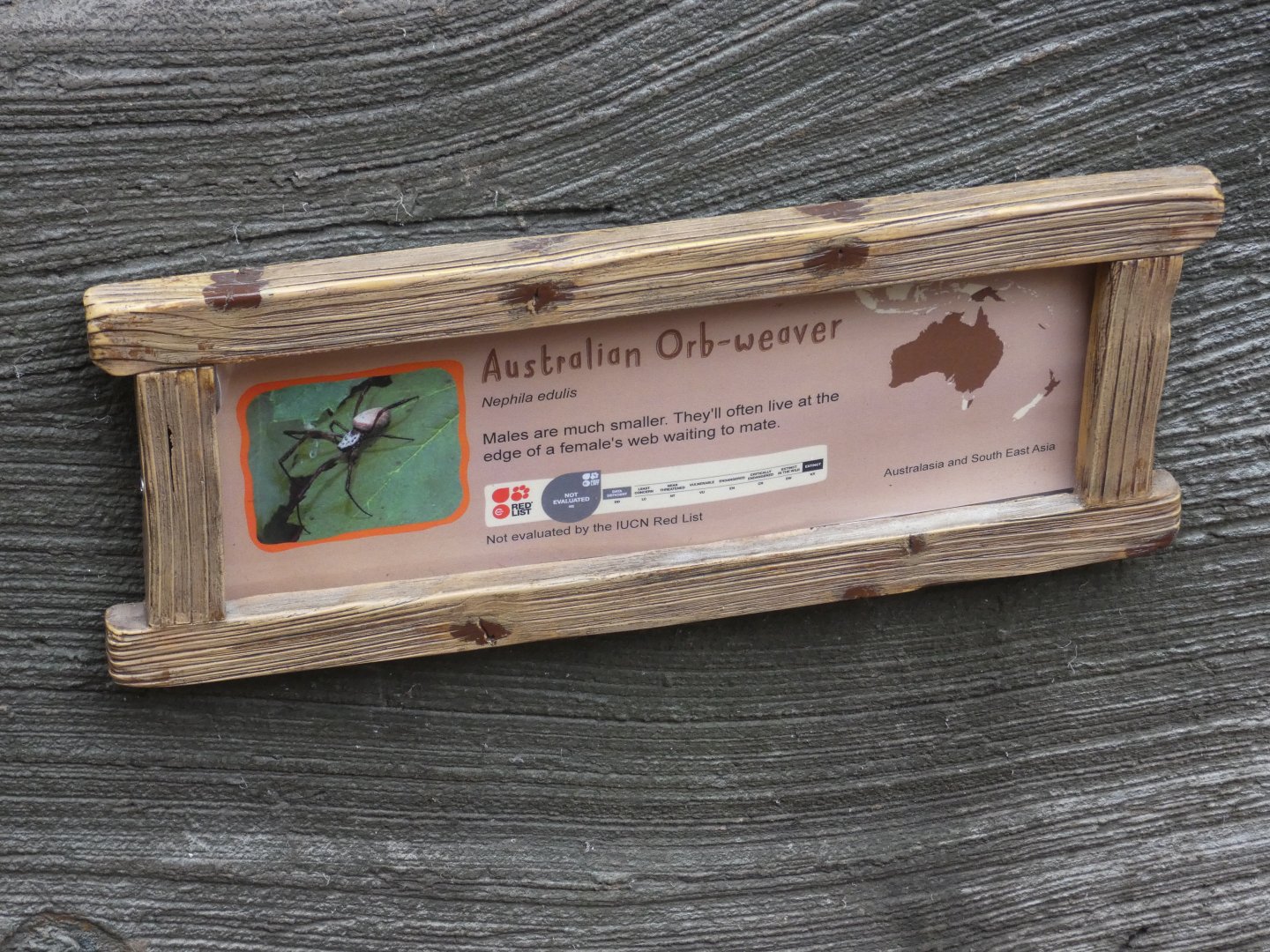 Australian Orb Weaver signage
