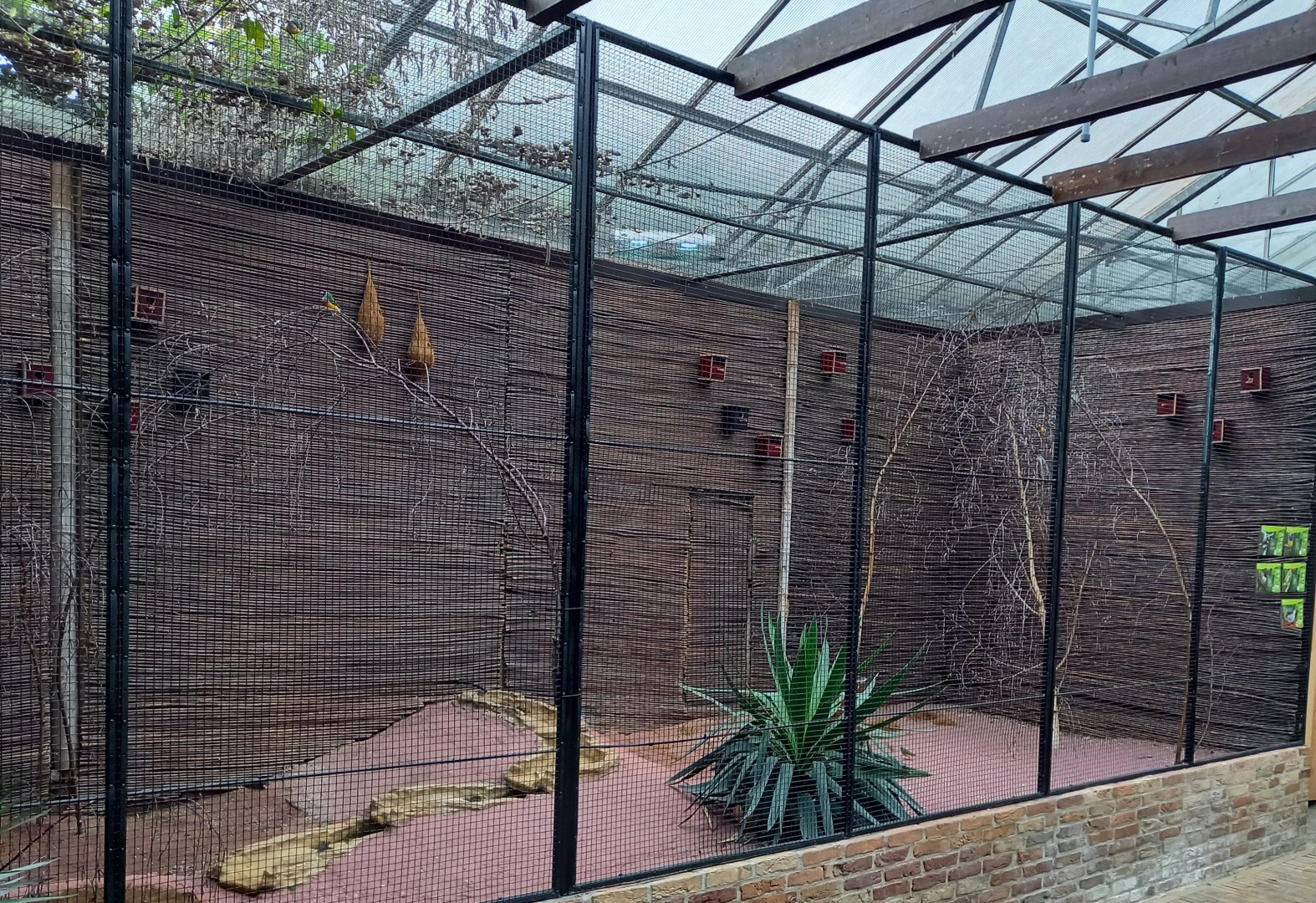 Australian Outback aviary