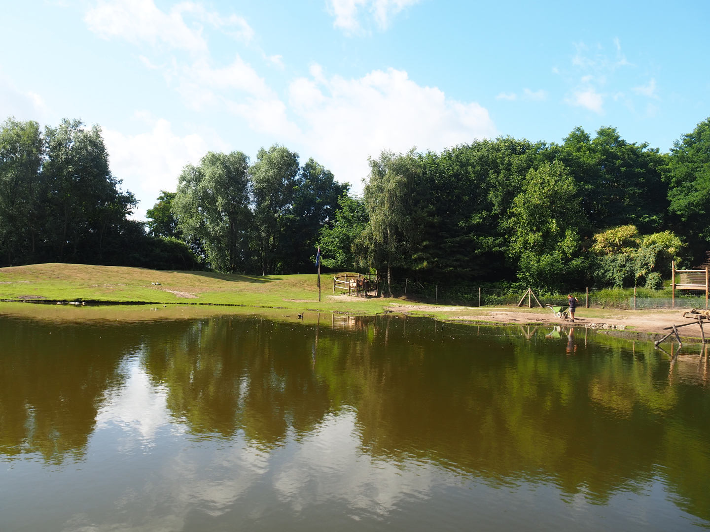 Australian Outback - Dromedary camel paddock, 2019-08-11
