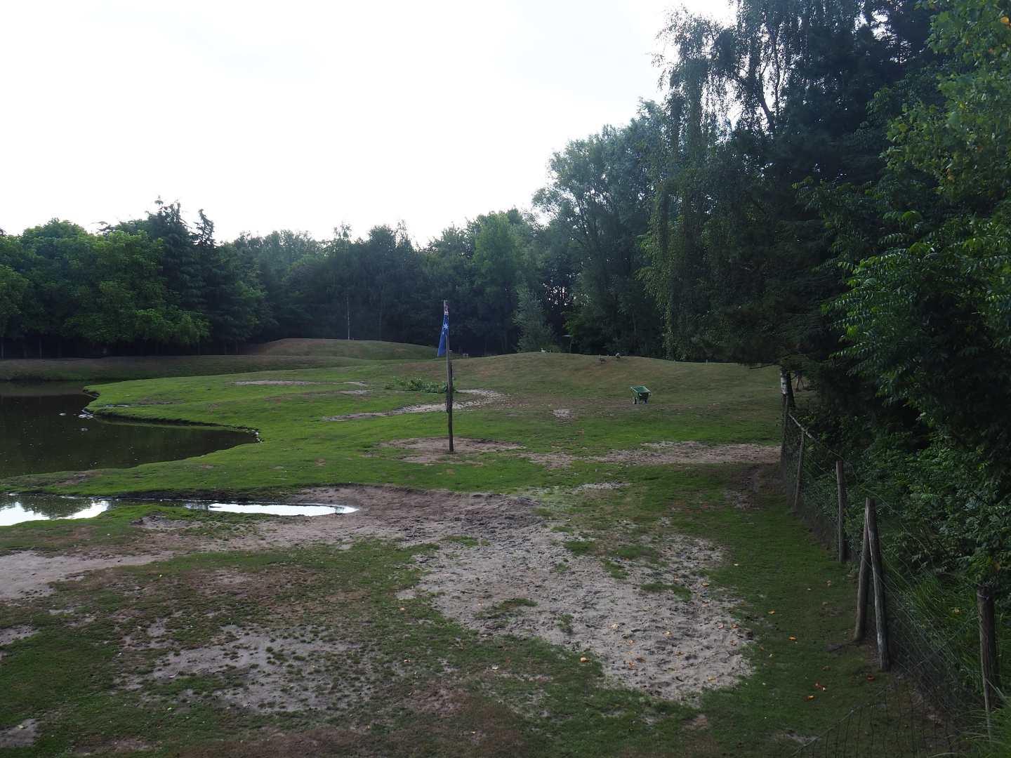 Australian Outback - Dromedary camel paddock, 2019-08-11