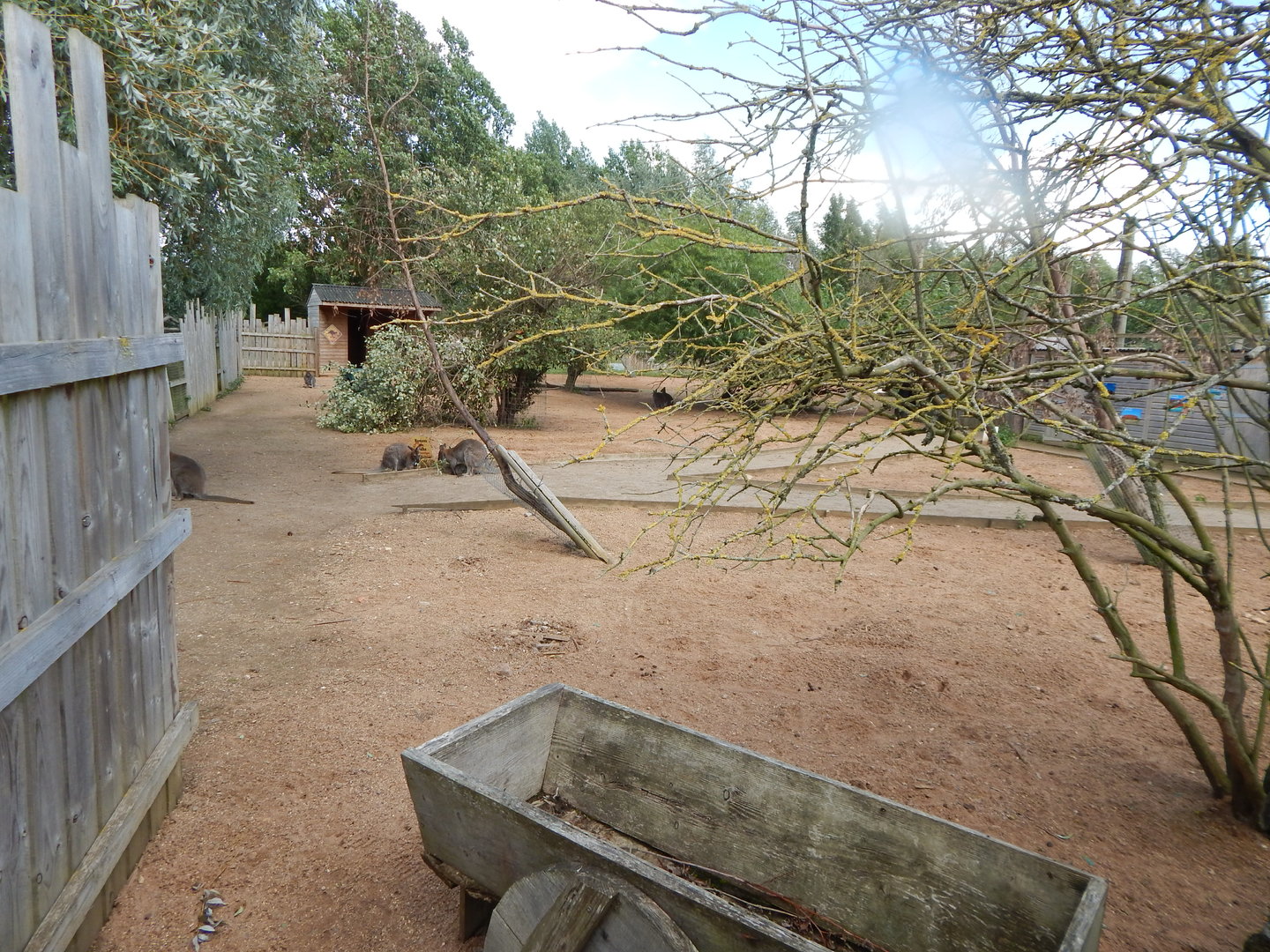 Australian Outback exhibit 150723