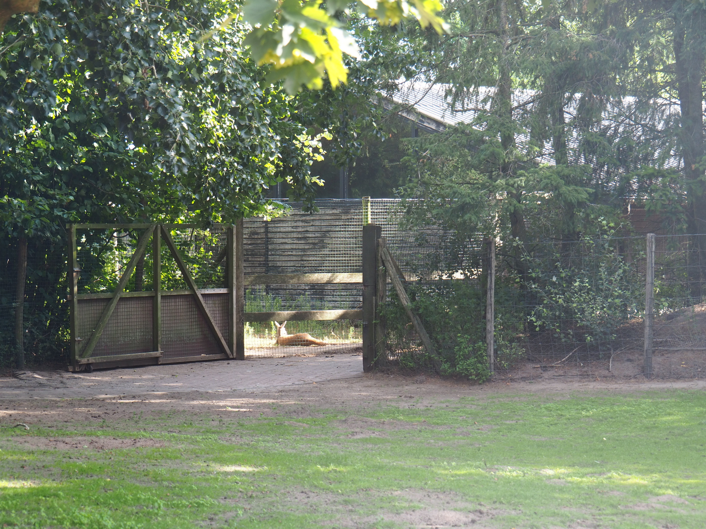 Australian Outback exhibit - Holding areas and stable building, 2019-08-11