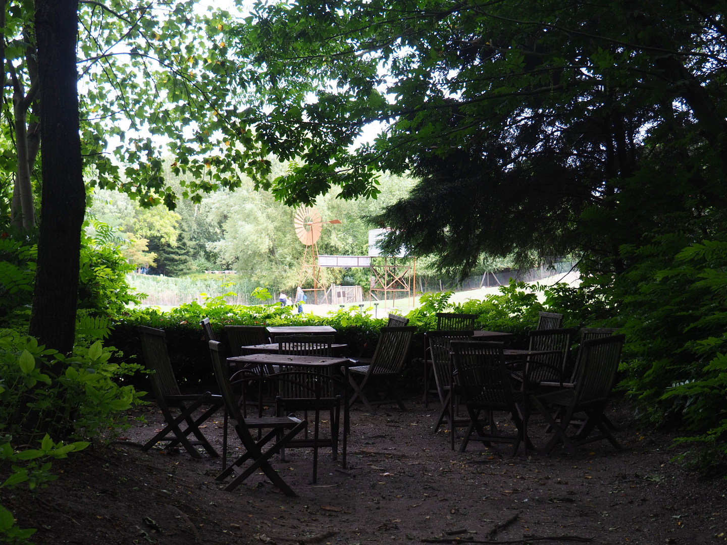 Australian Outback exhibit viewing area with picnic tables, 2019-08-11