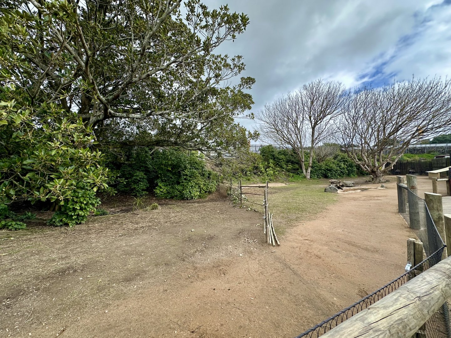 Australian Outback Exhibit