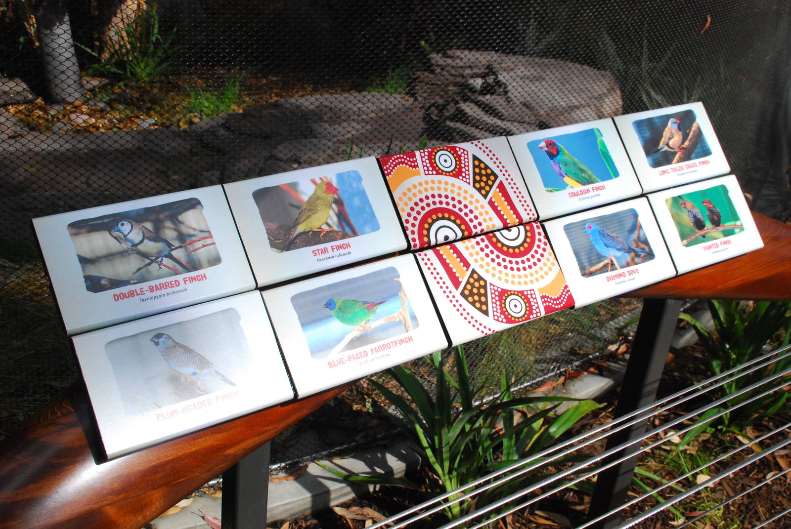 Australian Outback- First Aviary Signage