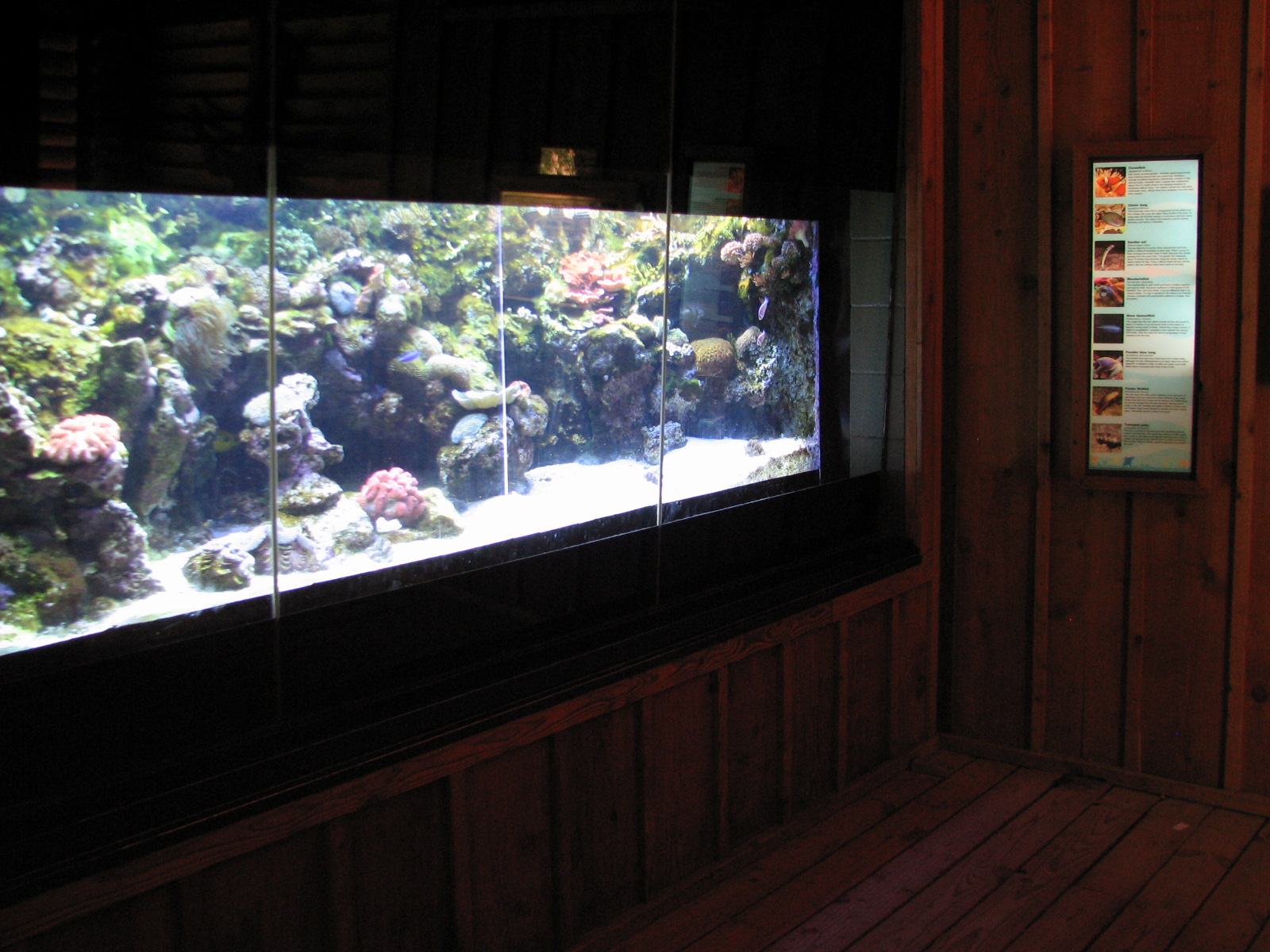 Australian Outback - Great Barrier Reef Aquarium