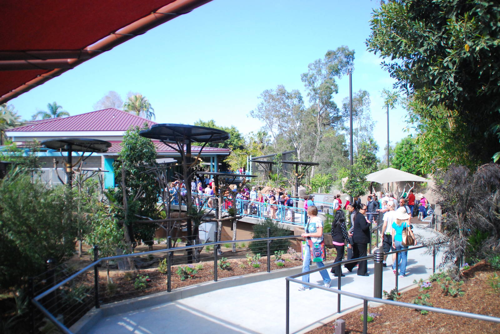 Australian Outback- Koala exhibits and Queenslander