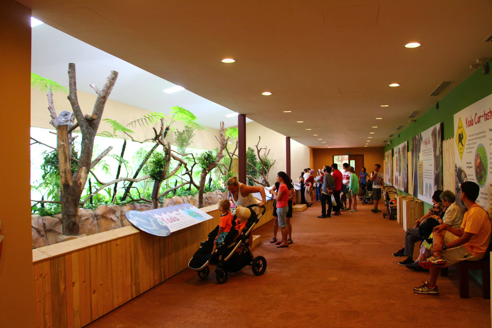 Australian Outback - Koala house