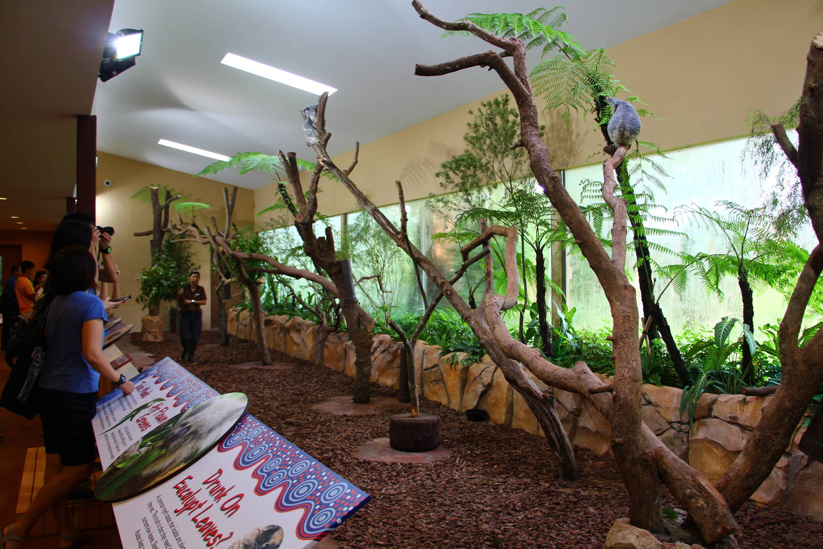 Australian Outback - Koala house