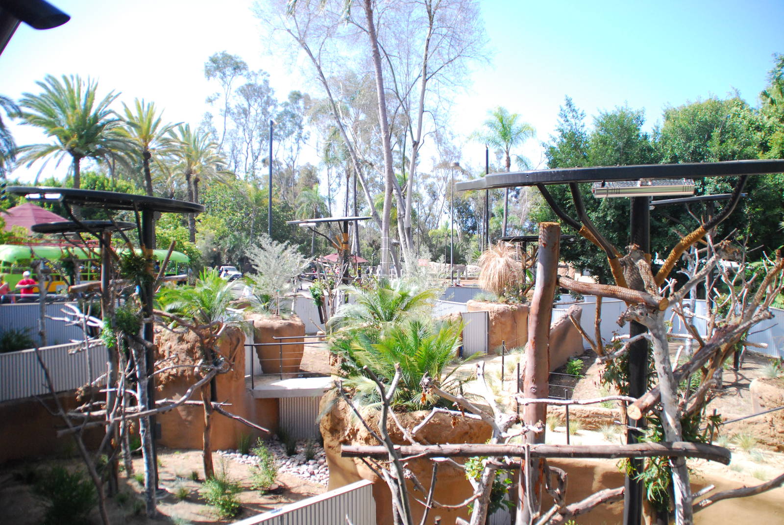 Australian Outback- male koala exhibits