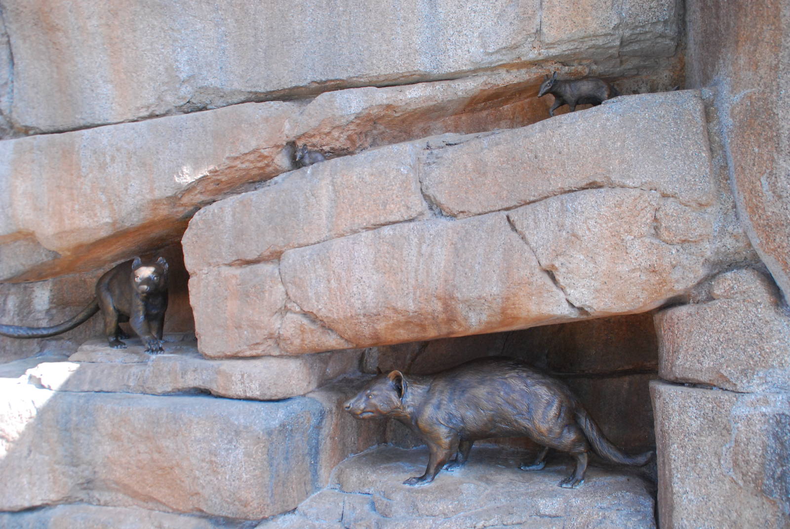 Australian Outback- Marsupial wall