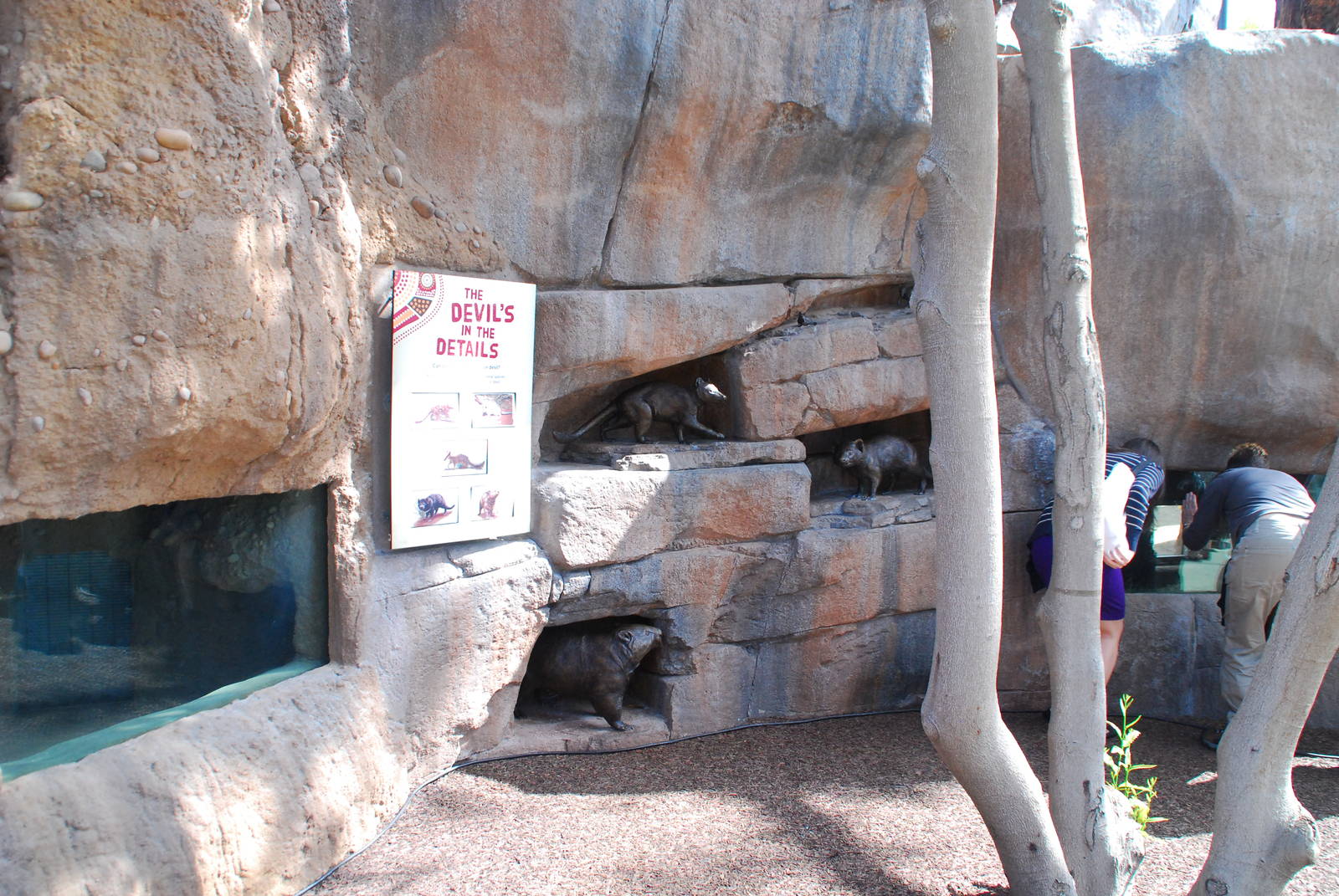 Australian Outback- Marsupial wall