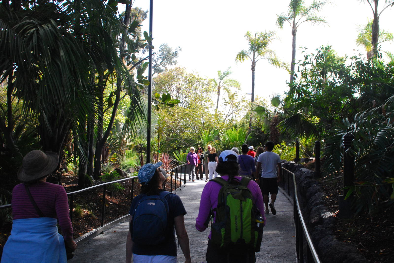 Australian Outback - New Walkway to Exhibit