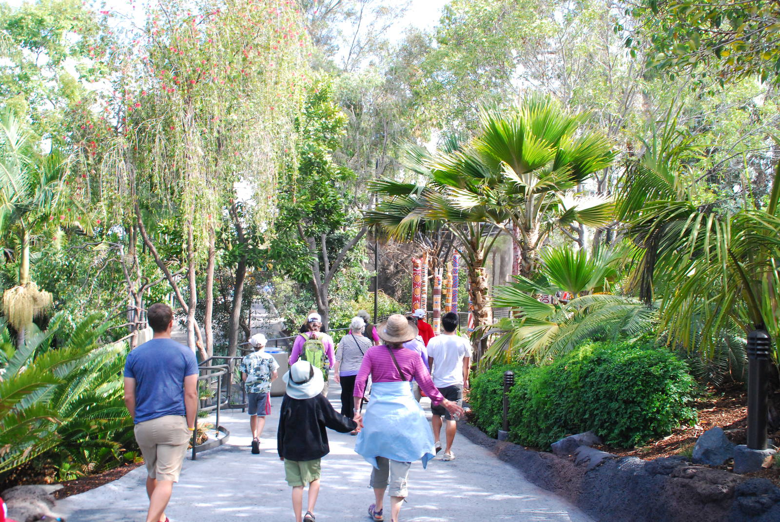 Australian Outback - New Walkway