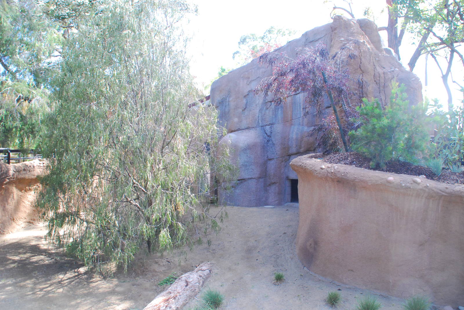 Australian Outback- Parma wallaby